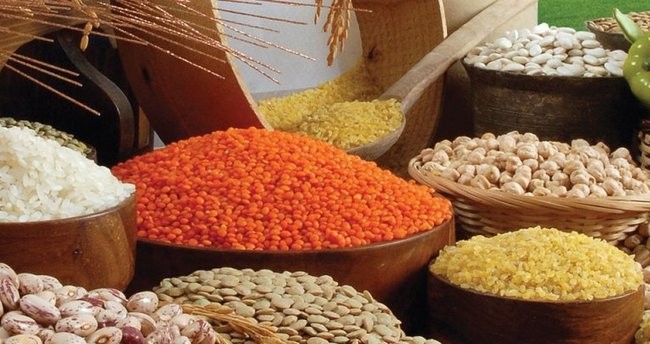 Endust Filtre endüstriyel gıda, endüstriyel toz toplama, duman emme ve filitrasyon konularında, proje, imalat, periyodik bakım ve montaj ile ilgili faaliyet göstermektedir.